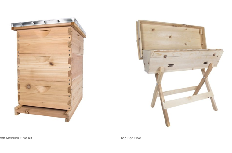 Langstroth vs. Top Bar Hives