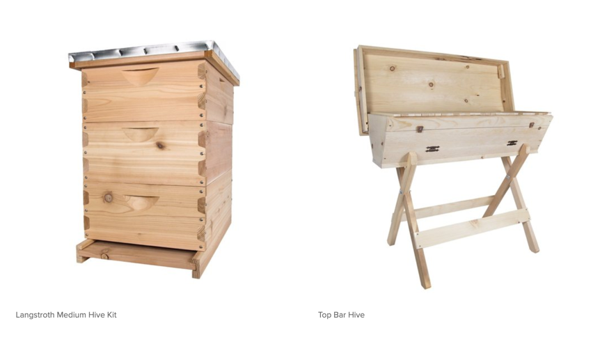 Langstroth vs. Top Bar Hives