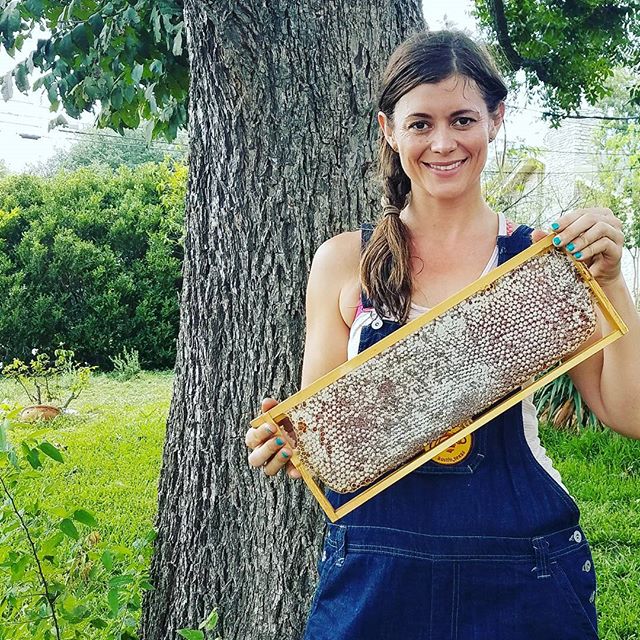 What is Comb Honey? – Two Hives Honey – Honey and Hive Tours in Austin, TX