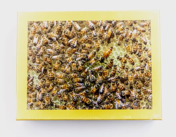 Queenspotting Puzzle