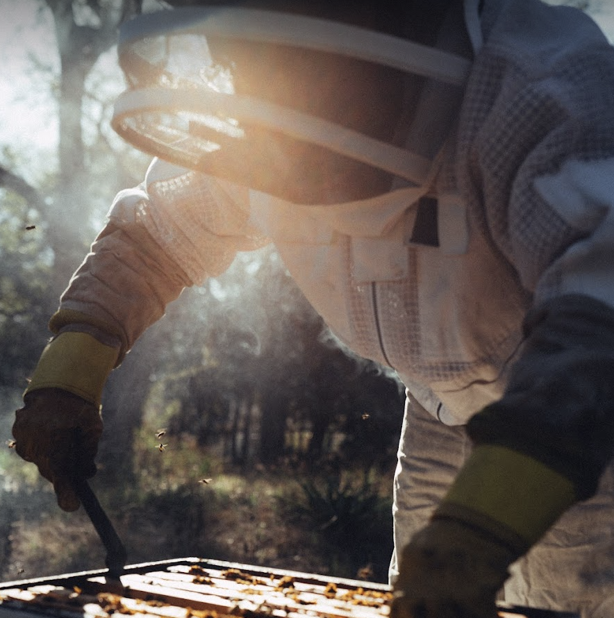 Woman Checking honey bee hive