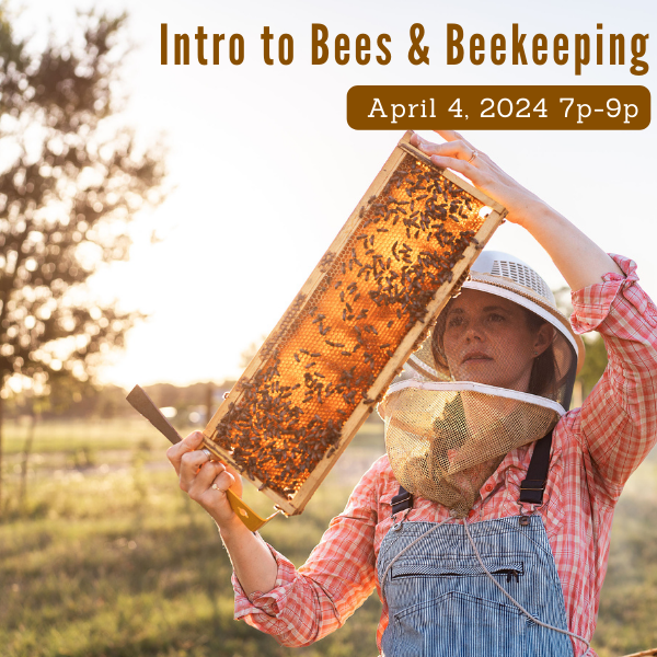 Intro to Beekeeping Class