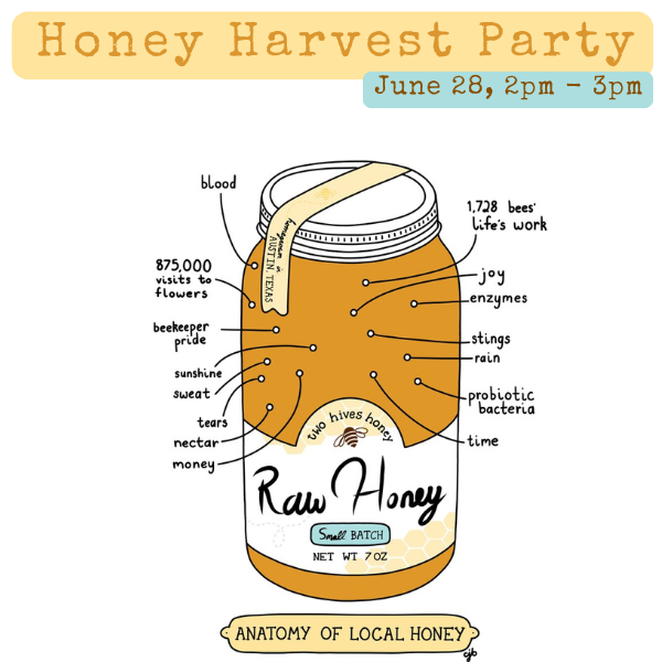 Harvest raw frames of honey & infuse a 3oz bottle with the flavor of your choosing!