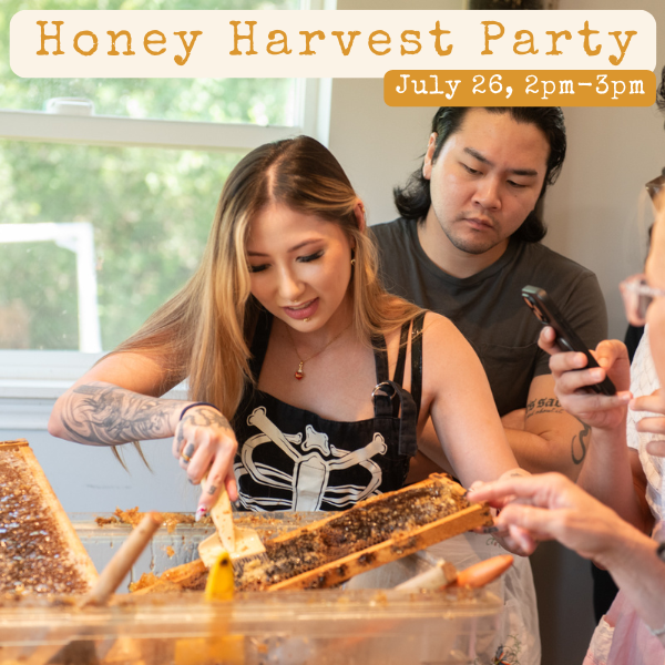 Harvest raw frames of honey & infuse a 3oz bottle with the flavor of your choosing!