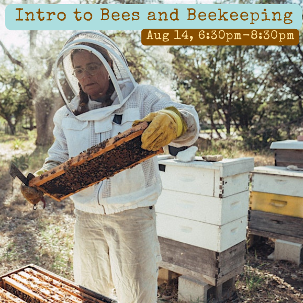 Intrigued by honey bees? Interested in starting your own backyard hive? This Class is FOR YOU!