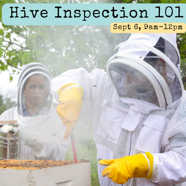 This hands-on class is for new beekeepers that have taken our intro class or those preparing to start their own hives soon.