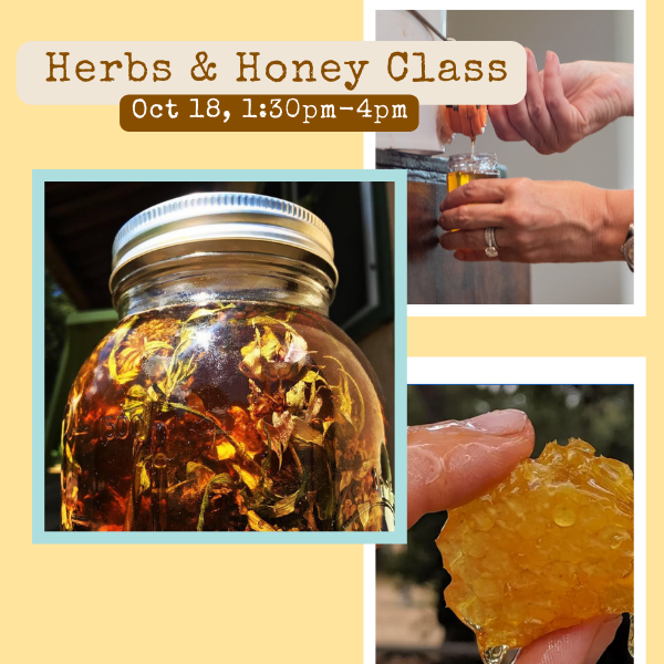 Come join Carla Salas with Two Hives Honey and Lauren Peterson with Sacred Journey School of Herbalism & White Deer Apothecary for a class on the medicinal properties of herbs and honey.