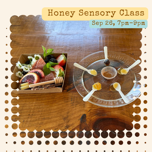 Honey Sensory Class - Best for Foodies!