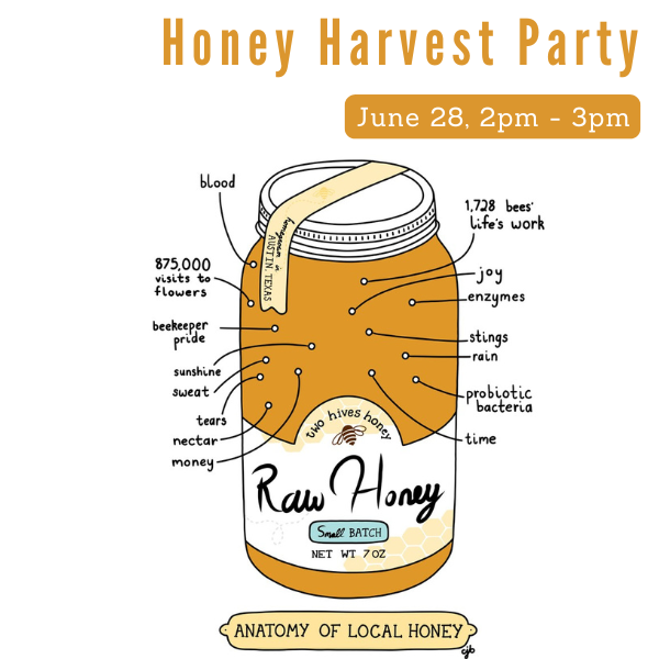 Join us for a full honey harvest! Be prepared to get sticky as our beekeepers walk you through the process of uncapping, extracting, and jarring honey. You'll get to jar and infuse your own bottle of honey during class, and relax with a mini guided honey flight after the work is done! This experience does not involve suiting up and getting into hives.