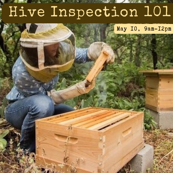 This hands-on class is for new beekeepers that have taken out intro class or those preparing to start their own hives soon.