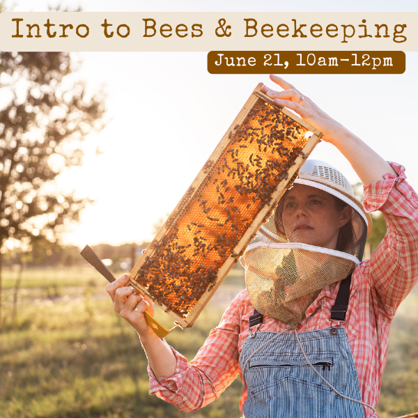 Interested in starting your own backyard hive? This classroom-based workshop will focus on bee biology and behavior and how to get started as a beekeeper, including discussions of city and state regulations, required time and financial commitment, a demonstration of necessary equipment, and information on where you can get your own bees.