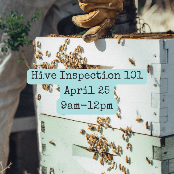4/25/26 Hive Inspection 101, 9am-12pm