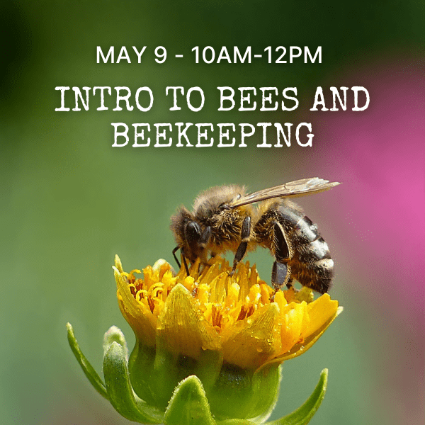 5/9/26, 11am-1pm. Interested in starting your own backyard hive? This classroom-based workshop will focus on bee biology and behavior and how to get started as a beekeeper, including discussions of city and state regulations, required time and financial commitment, a demonstration of necessary equipment, and information on where you can get your own bees. After this class, you will be primed to take our Hive Inspection 101 class.