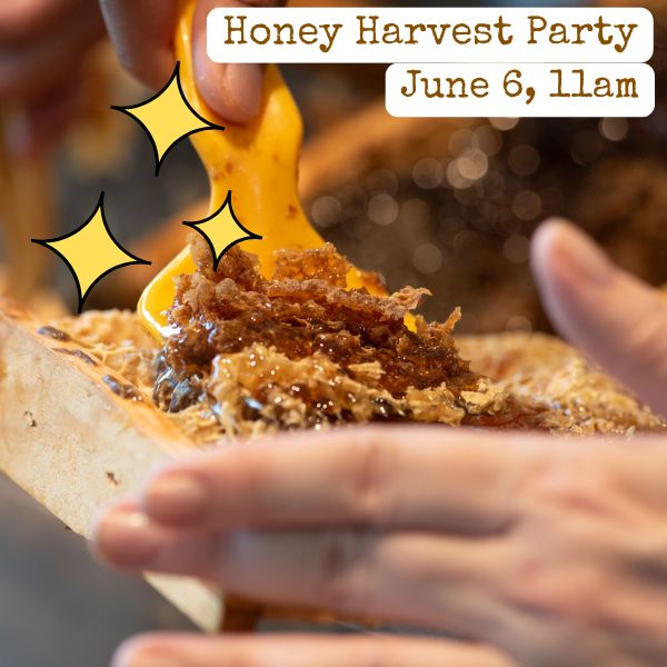 June 6, 2016 - 11am-12pm - Experience a full honey harvest as our beekeepers guide you through uncapping, extracting, and jarring honey. Make your own infused bottle and enjoy a mini honey flight! *This event does not involve suiting up and opening hives.